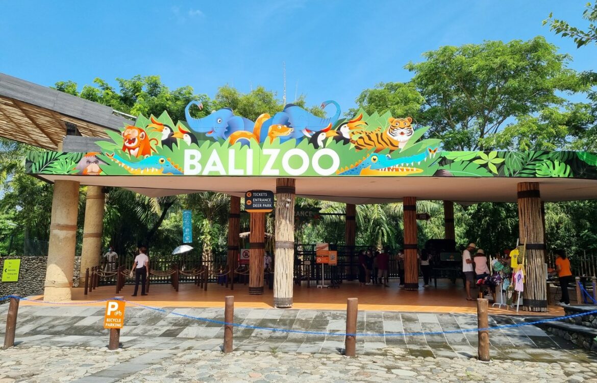 Agenda yang bisa kamu lakukan saat berkunjung ke Bali Zoo dan wisata yang ada di sana