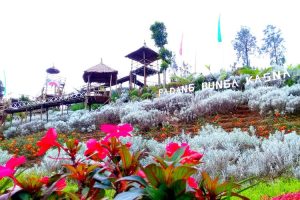 Padang Bunga Kasna