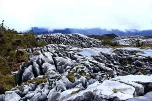Batas Batu Wamena