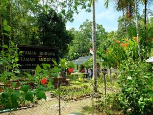 Taman Burung dan Taman Anggrek Biak