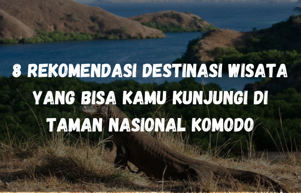 8 Rekomendasi Destinasi Wisata yang bisa kamu kunjungi di Taman Nasional Komodo!