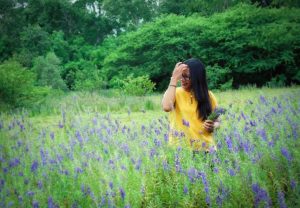 Hutan Bunga Lavender
