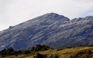 Gunung Mandala Papua
