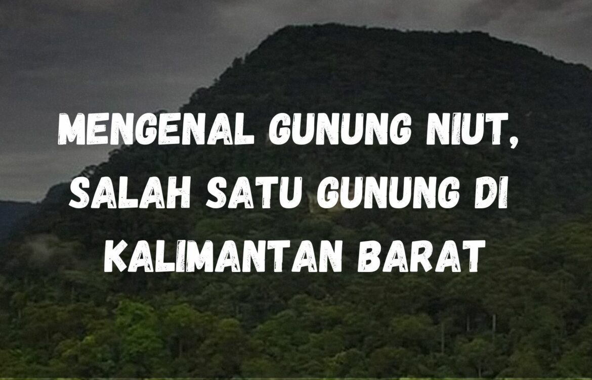 Mengenal Gunung Niut, salah satu gunung di Kalimantan Barat